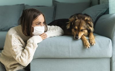 6 Easy Ways To Prevent Springtime Allergies in Your Pet